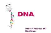 Dna, rna, duplicação e síntese protéica