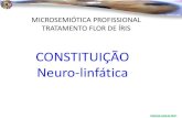 Clodoaldo Pacheco - Constituição neuro linfática