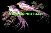 Segundo Módulo - Aula 14 - Vida espiritual