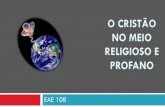 Eae   108 - o cristão no meio religioso e profano