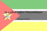 Um olhar sobre Moçambique - Angela Natel