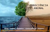 Consciencia Animal