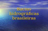 As grandes bacias hidrográficas brasileiras