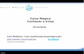 Luis Medinas Caixa Magica presentation 15/03/2010