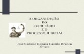 Organizacão do-judiciário-e-processo-judicial