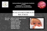 Embriologia da Face