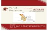 Artrologia - Estudo das articulações