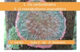 1°S carboidratos e metabolismo energético_ abril_2014