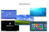 Versões Windows e Gerenciamento de Usuários