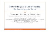 Introdução zootecnia   bovinocultura de corte - 2012