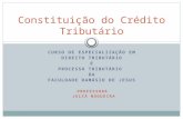 Aula constituição do crédito tributário   damásio