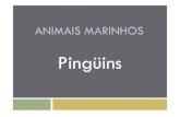 Apresentação pinguins bolosistas 2011