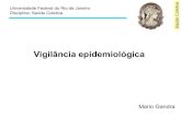 Saúde Coletica - 5. vigilância epidemiológica