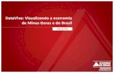 DataViva: Visualizando a economia de Minas Geras e do Brasil