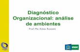 Aula 3 - Diagnóstico organizacional: análise de ambientes e cenários