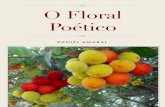 Livro do Poeta Daniel Amaral - O Floral Poético