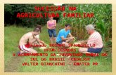 Sucessão na Agricultura Familiar - por Valter Bianchini