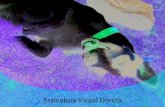 Assinatura visual para animal de estimação DOROTA