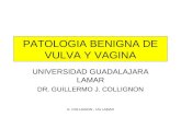 patologia benigna-maligna vulva y vagina