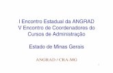 Diretrizes Curriculares Nacionais para o Curso de Administração - Adm Rui Otávio Bernardes