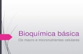 Bioquímica básica