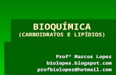 Bioquímica   carboidratos e lipídios