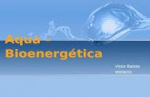 Terapia Aqua-Bioenergética em Naturologia (continuação)