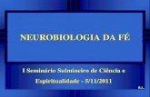 Neurobiologia da fé itajubá nov 2011