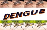Slides sobre dengue para eproinfo atual