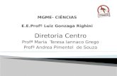 Dengue  mgme  prof. maria teresa i. grego - slideshare 2