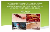 Apresentação malária