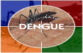 Dengue lepto capacita 2012