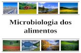 7229 9   microbiologia dos alimentos 2011.1