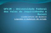 UFVJM - Líquidos e Mudanças de Estado