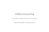 Crsilva consulting