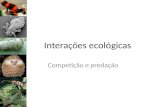 Interações ecológicas1 engamb 1 (1)