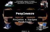 Peopleware - Projetos e Equipes Produtivas