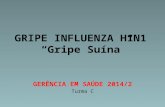 GRIPE SUÍNA TIPO H1 N1 - INFLUENZA