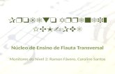 Aula 4 - Flauta transversal - N­vel 2 - Projeto Aprendiz VV - 2012