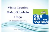 79º reunião - Plenária - Apresentação visita técnica Grupo de Trabalho Baixo Ribeirão Onça