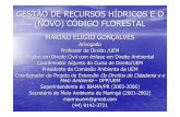 Gestão de recursos hídricos e o código florestal - Marino Gonçalves