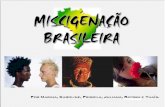 Miscigenação Brasileira