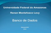 Universidade federal do amazonas   Banco de Dados - Apresentação final
