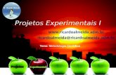 Projetos Experimentais I - aula 03