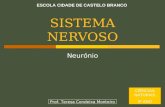 02 SN Neuronio Tc 0809