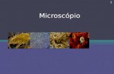 05 Microscopio ConstituiçAo Tc 0809
