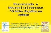 Prevenindo a neurocisticercose