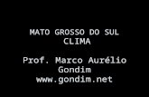 GEOGRAFIA Clima de Mato Grosso do Sul Marco Aurelio Gondim []