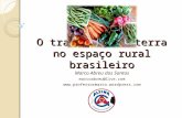 O trabalho e a terra no espaço rural brasileiro