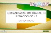 Organização do trabalho pedagogico 2